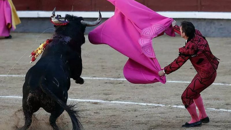 İspanya'da hayvanlara kötü muameleye 2 yıla kadar hapis cezası