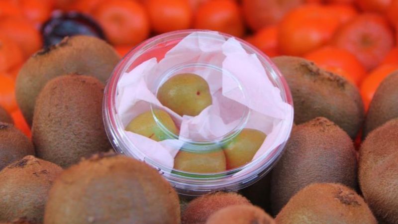 4 tanesi 50 TL’den satılan erik hamilelerin ilgi odağı