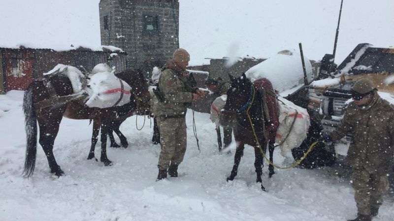 Van’da, kaçakçıların bıraktığı atlara yüklü yüzlerce tüfek ele geçirildi