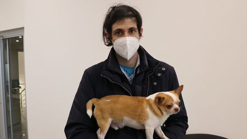 184 kişilik grup Hamzabeyli Sınır Kapısı'na ulaştı