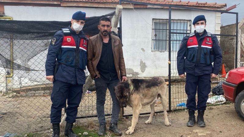 Kırıkkale'de çaldığı köpeği tanınmaması için siyaha boyadı
