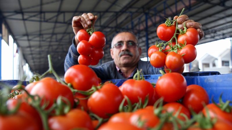 Ukrayna işgali Antalya Toptancı Hali'nde sebze fiyatlarını düşürdü
