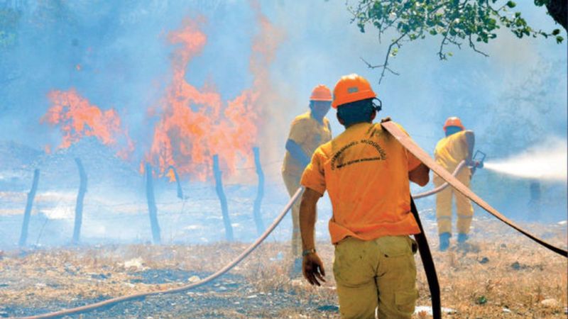 OGM istihdam 2022: 5 bin yangın işçisi alımı başladı mı, şartları neler?