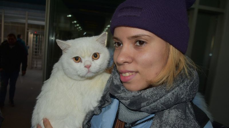 Ukrayna'dan gelen öğrenciler, evcil hayvanlarını geride bırakmadı