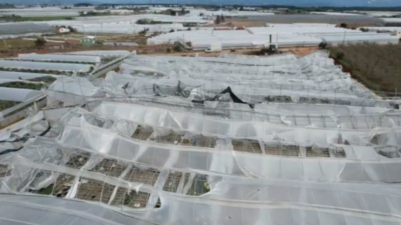 Antalya'da hortum, seraları yerle bir etti