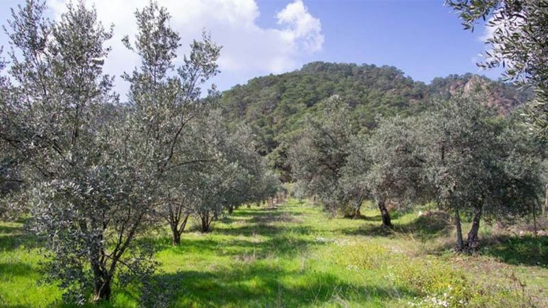 Çevre Bakanlığı'ndan 'sit alanlarına yapı izni' haberlerine yalanlama