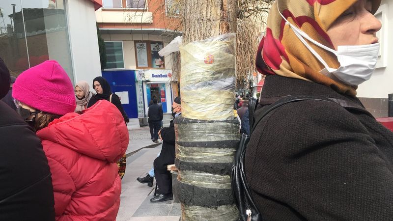 Eskişehir'de ağaca rahat yaslanmak için sünger bantladılar