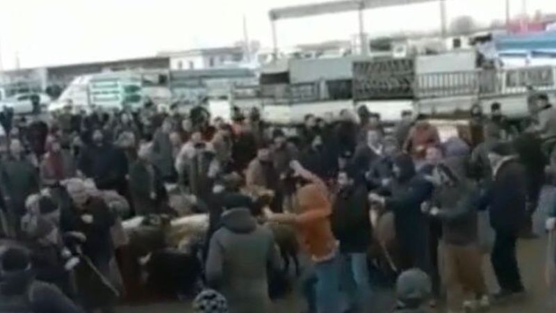 Iğdır'da hayvan pazarında sopalı kavga