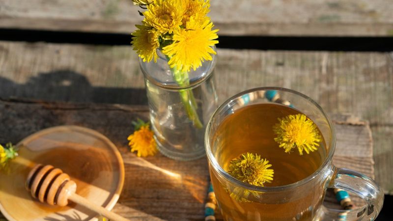 Karaciğer detoksu için 3 doğal içecek