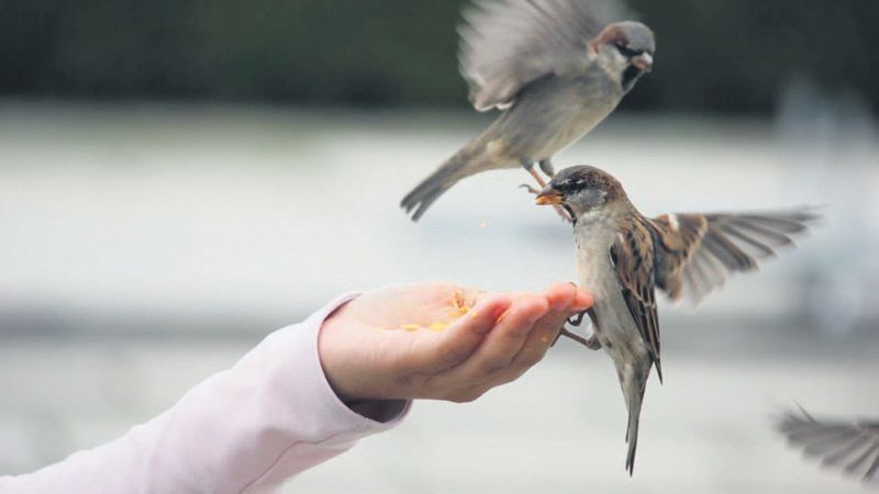 16 Mart Dünya Vicdan Günü: Vicdan ile ilgili meşhur sözler