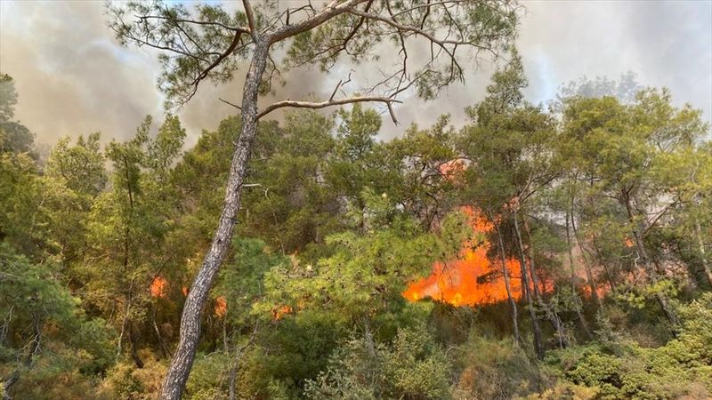 Muğla'da, ormanlık alanda çıkan yangın söndürüldü