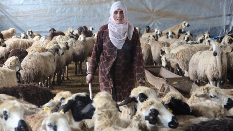 Elazığ’da devlet desteği ile çiftlik sahibi oldu