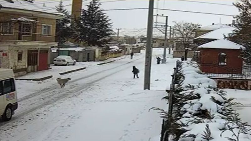 Nevşehir'de Yusuf'a saldıran köpekler, Hayvan Kasabası tarafından sokağa bırakıldı