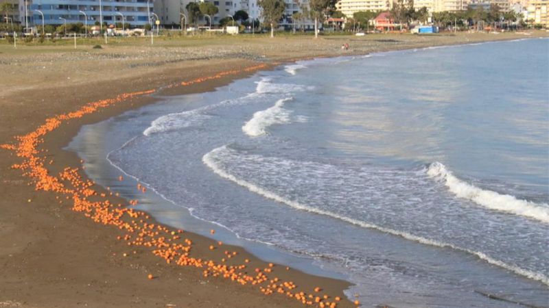 Mersin’de portakallar sahile vurdu