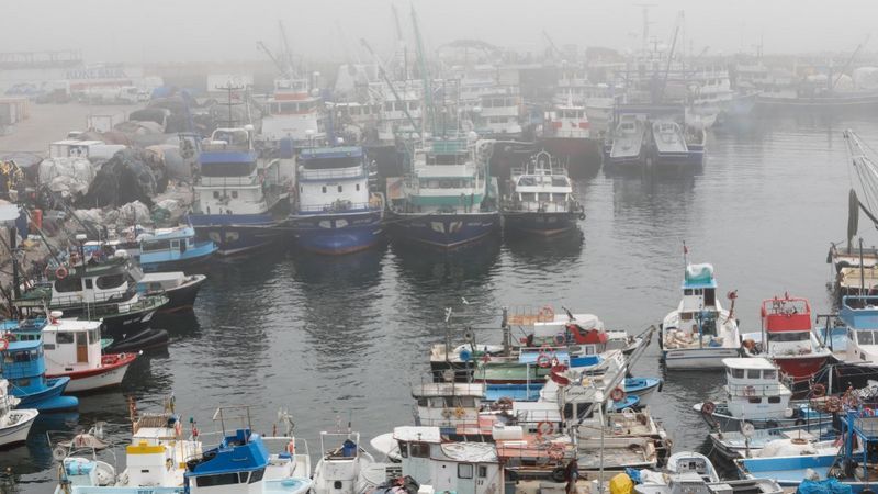 İstanbul Boğazı'nda balıkçıların mayın tedirginliği 