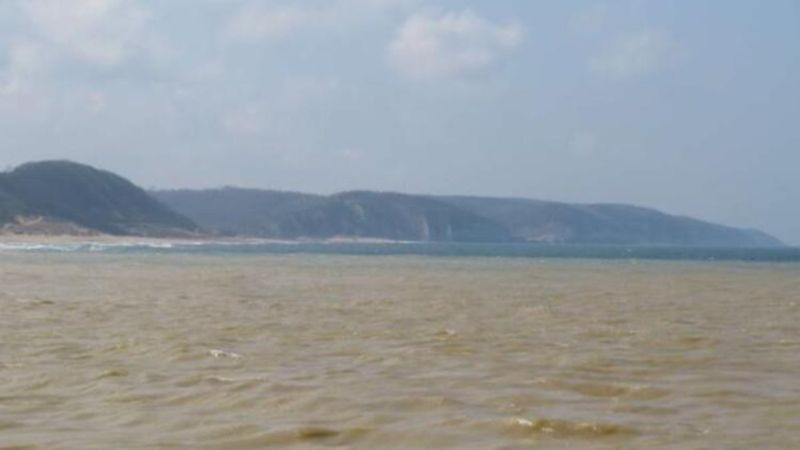 Şile'de denizin rengi kahverengiye döndü