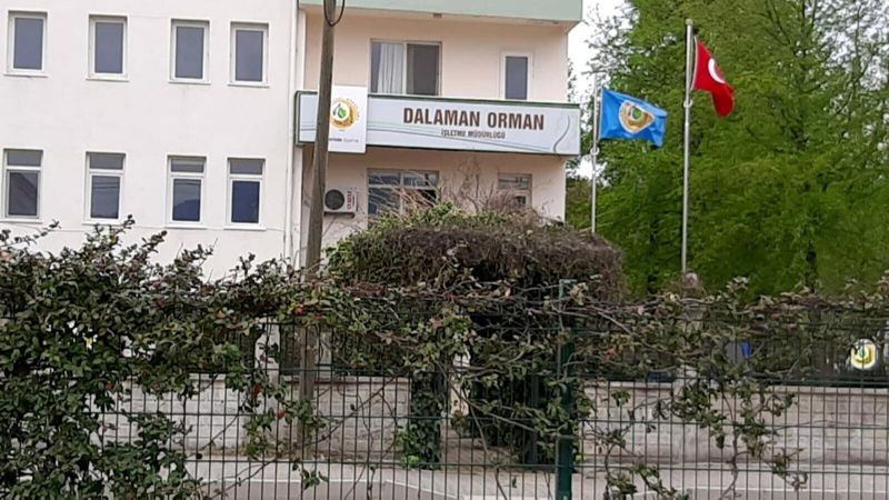 Muğla'daki rüşvet operasyonunda orman müdürü dahil 25 gözaltı