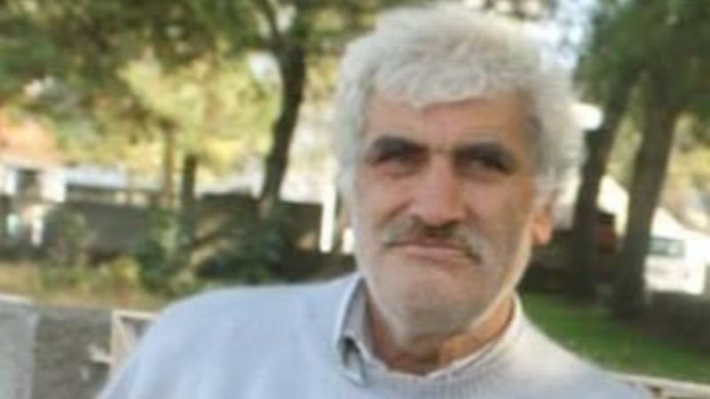 Çanakkale'de aşılatmak istediği ağaçlarını keserken elektrik akımına kurban gitti