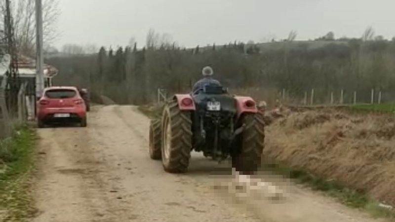 Bursa'da tavuklarını yiyen köpeği vurup sürükleyerek götürdü