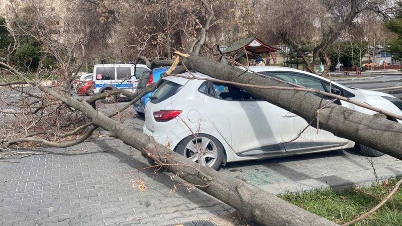 Ankara’da şiddetli rüzgar ağaçları devirdi
