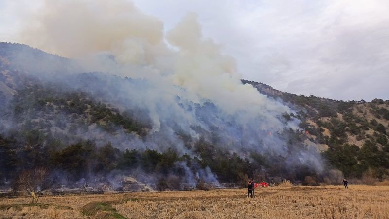 Çorum’daki orman yangını kontrol altına alındı