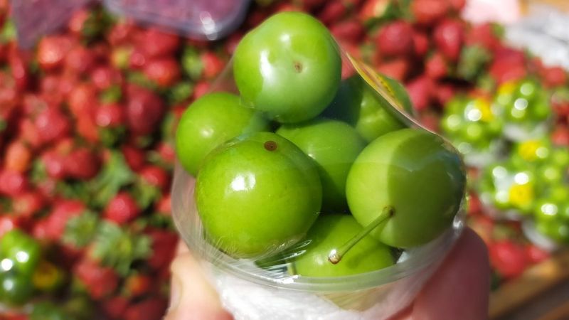 Yazın vazgeçilmezi erik tanesi 3 liradan tezgahlarda