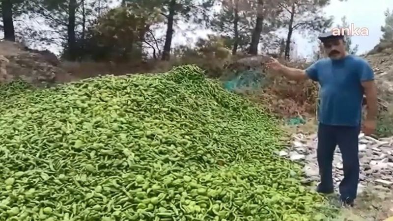 Ticaret Bakanlığı'ndan ormana dökülen biberlerle ilgili açıklama