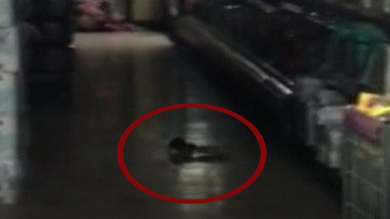 Esenler'de marketteki farelerin cirit attığı anlar