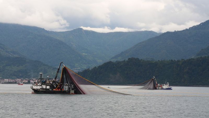Karadeniz'de iklim değişikliği etkileri: Su sıcaklığı 2 derece arttı