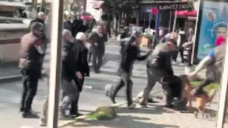 Beyoğlu'nda pitbullunu saldırtan sanık hakim karşısına çıktı