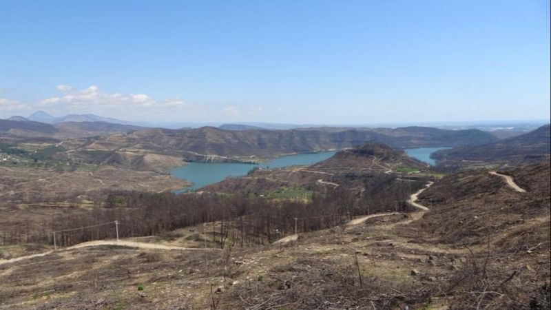 Manavgat’ta yanan bölgenin yüzde 70’i ağaçlandırıldı