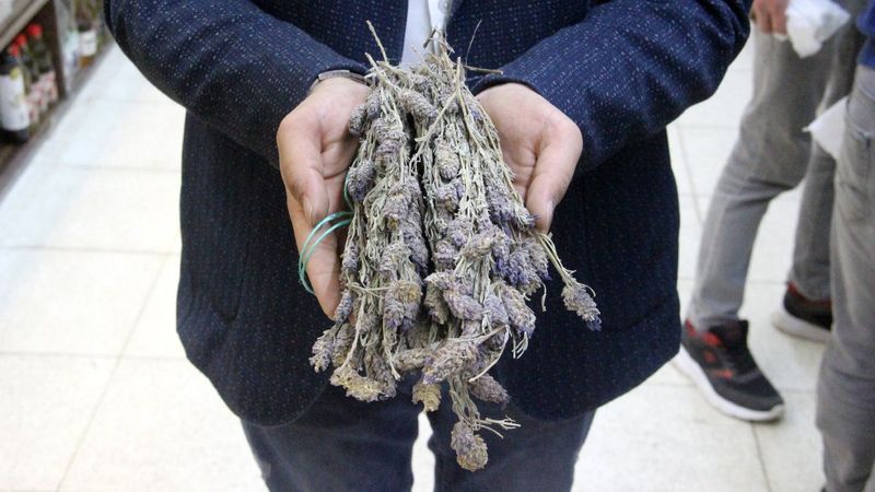 Sigara bıraktıran doğal yöntem: Karabaş otu