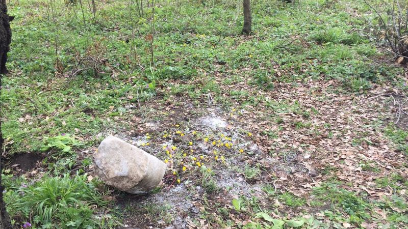 Zonguldak’ta bebek cesedi gömüldü sanıldı, mezardan kedi ölüsü çıktı