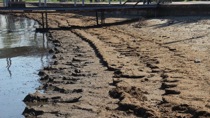 Kocaeli'de sahilden 360 ton hayvan gübresi çıkartıldı