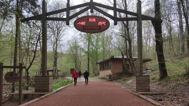 Belgrad Ormanı’na araçlı giriş ücretine vatandaşlardan tepki: Mantığı yok