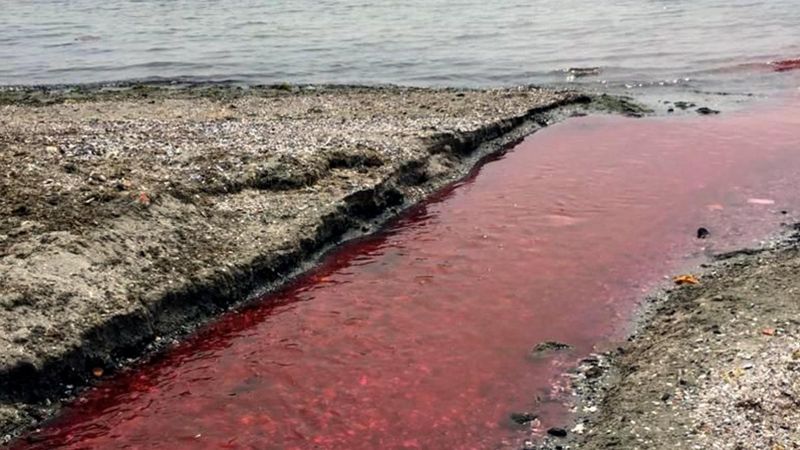 Tekirdağ’da, Kamara Deresi’ni kirleten tesise 1 milyon 799 bin lira ceza kesildi