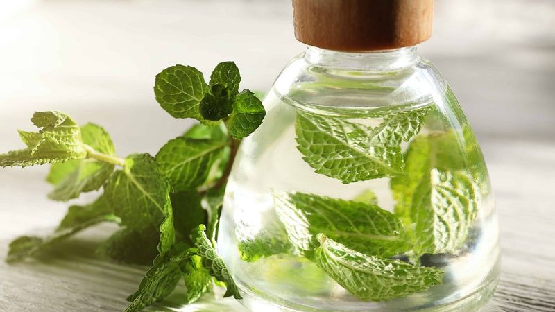 O ağrıdan eser kalmayacak! Şakaklara birer damla sürüp ovalayın...