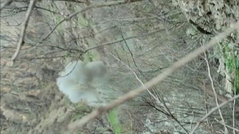 Hakkari’de, teröristlerin tuzakladığı EYP imha edildi