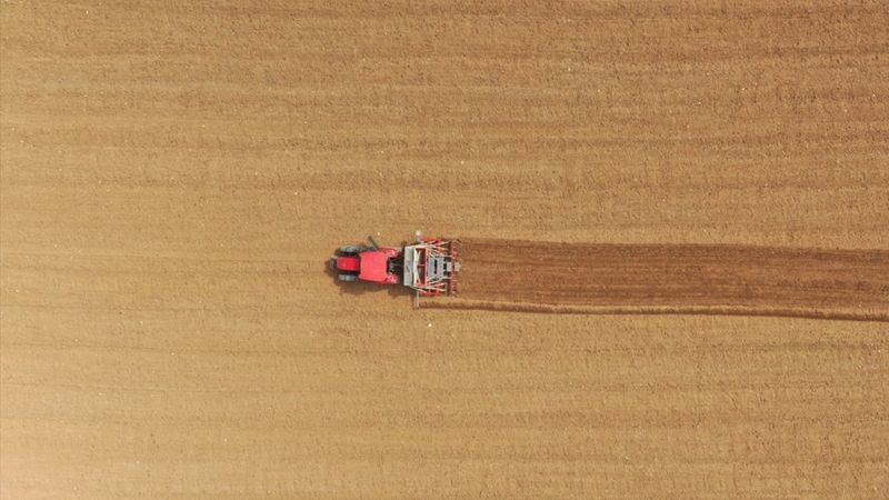 Kastamonu'da kendir ekildi