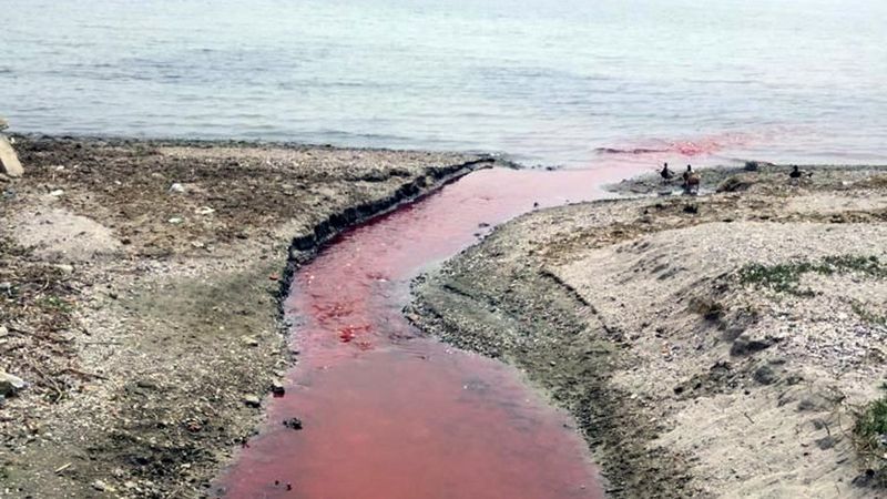 Tekirdağ'da dereyi kirleten firma, süresiz kapatıldı