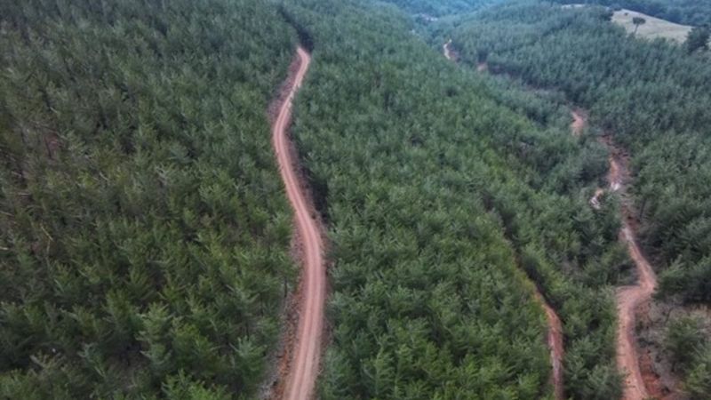 Adana'da yangın emniyet yolları ve şeritleri yapıldı