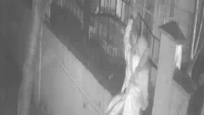 Kadıköy'deki ortaokuldan saz çalan hırsız kamerada