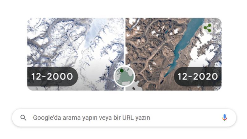 Google '22 Nisan Dünya Günü testi': Siz hangi hayvansınız