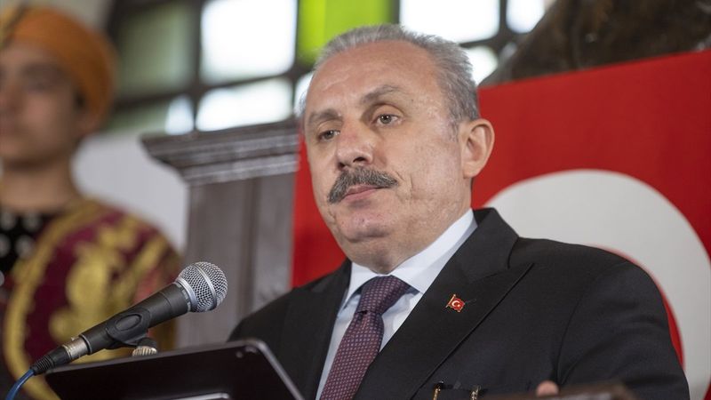 Mustafa Şentop, Birinci Meclis'te konuştu