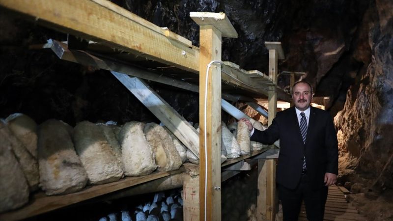 Mustafa Varank, mağarada üretilen Divle Obruk Peyniri'ni inceledi