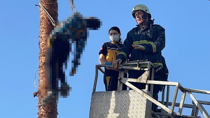 Antalya'da ağacın üstünde hayatını kaybetti