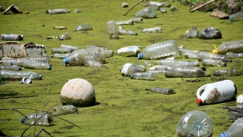 Bayındır Deresi, kirlilik nedeniyle yeşil örtüyle kaplandı