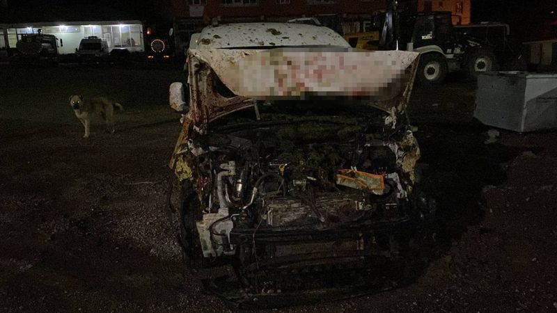 Bingöl'de bir araç sürüye çarptı: 50 koyun telef oldu