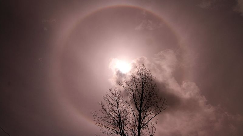 Van semalarında oluşan hale görüntülendi