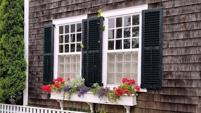 Görünüşe ve tekniğe göre pencere modelleri